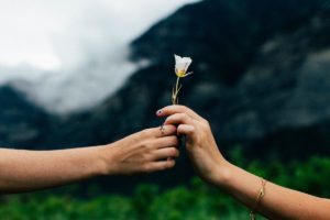 Giving A Flower