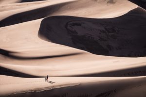 Walking In The Desert