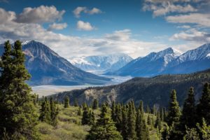 Mountain Forest