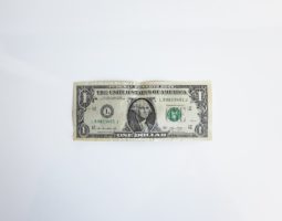 Dollar Bill