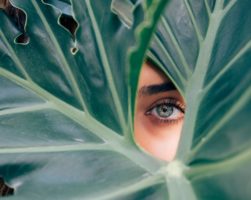 Blue Eye Green Palms