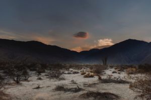 Desert Sunset